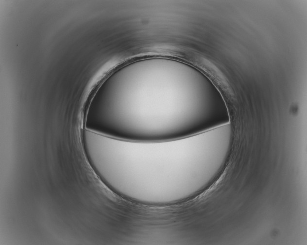 X0000097471180200802220822
