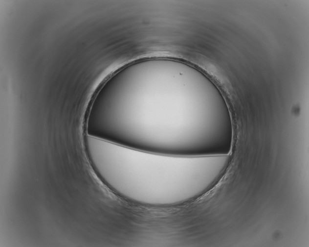 X0000097471181200802220822
