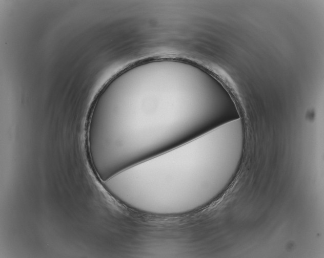 X0000097471183200802220822