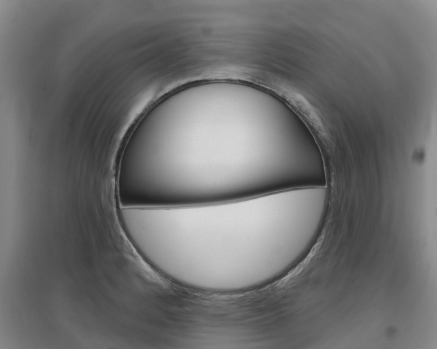 X0000097471184200802220822