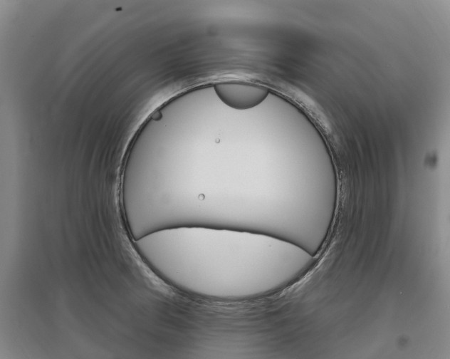 X0000097471186200802220822
