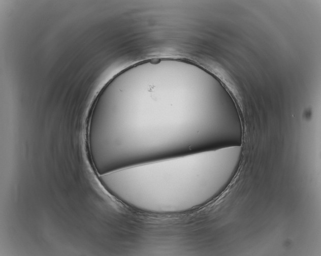 X0000097471187200802220822