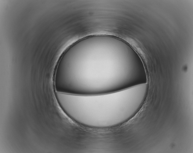 X0000097471189200802220822
