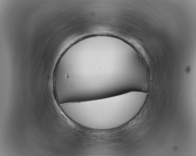 X0000097471191200802220822