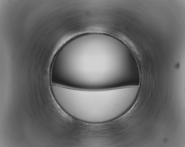 X0000097471192200802220822