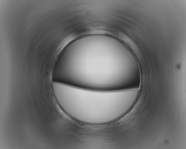 X0000097471193200802220822
