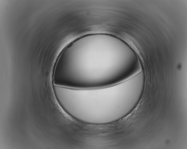 X0000097471197200802220822