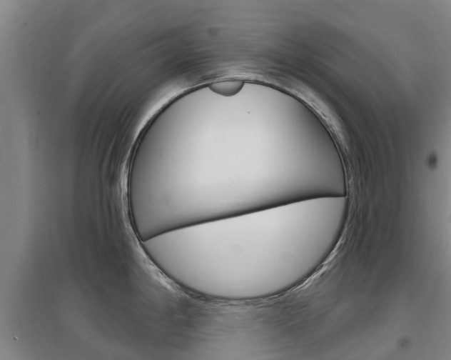 X0000097471198200802220822