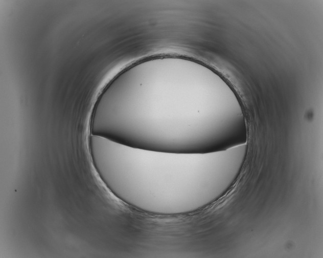 X0000097471199200802220822