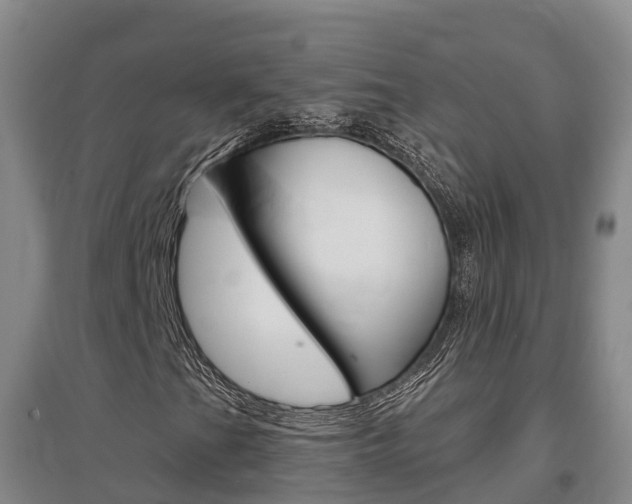 X0000097471201200802220821