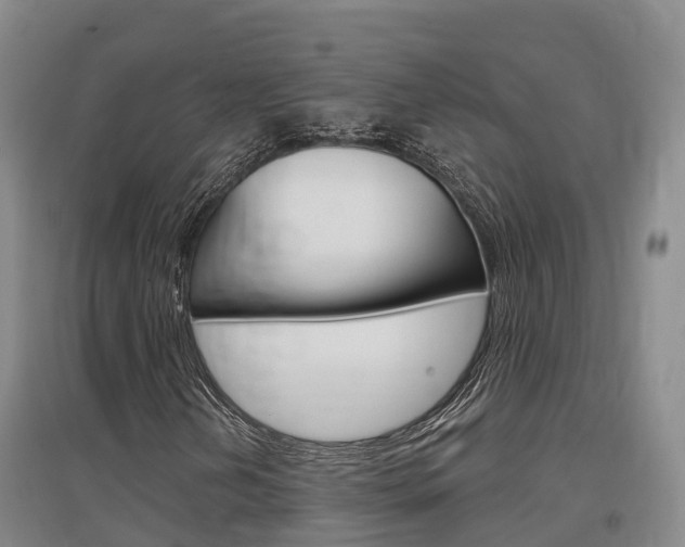 X0000097471202200802220821