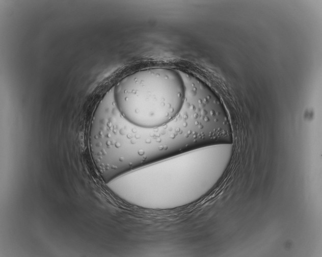 X0000097471205200802220822