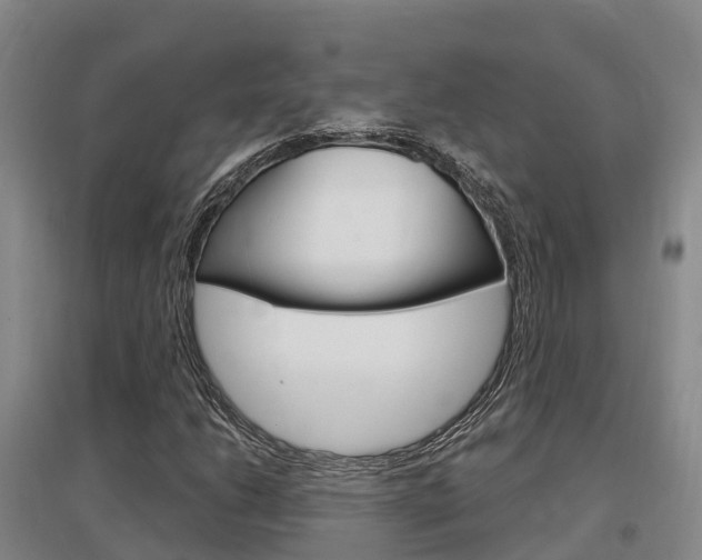 X0000097471206200802220822