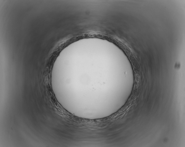 X0000097471207200802220822