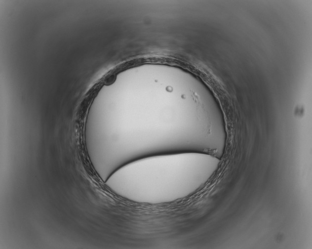 X0000097471208200802220822