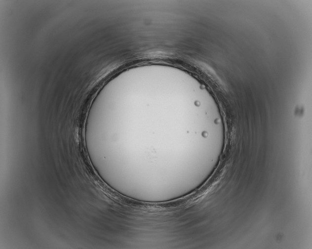 X0000097471209200802220822