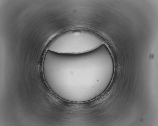 X0000097471210200802220822