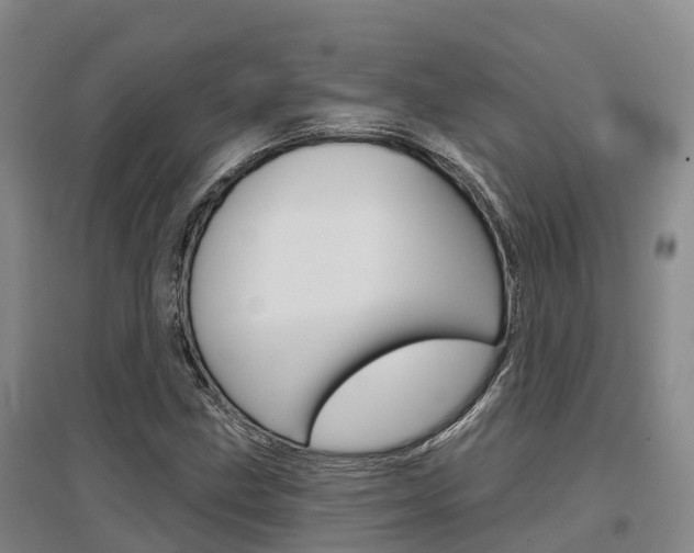 X0000097471211200802220822