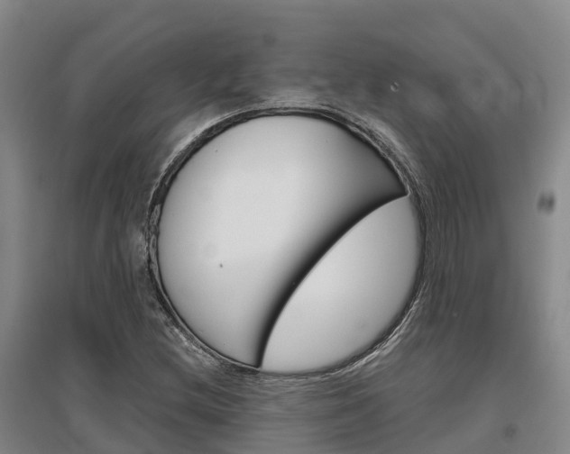 X0000097471212200802220822
