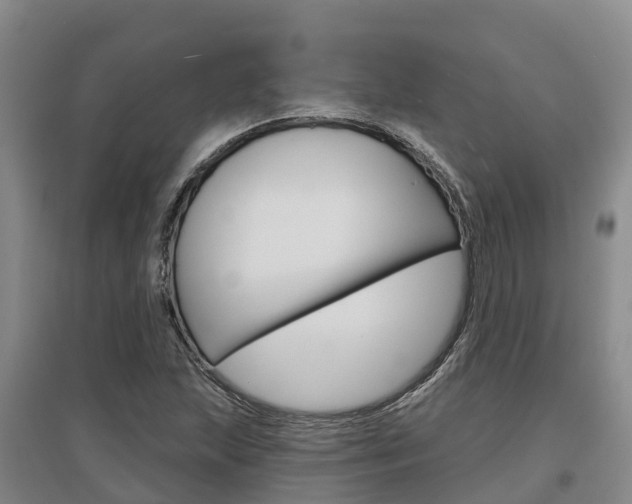 X0000097471215200802220822