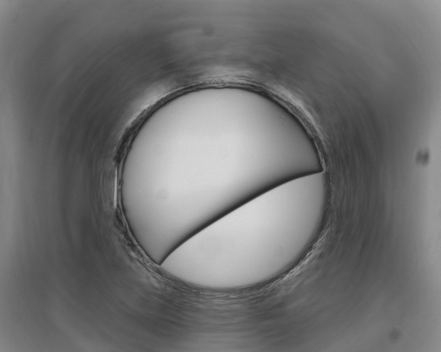 X0000097471219200802220822