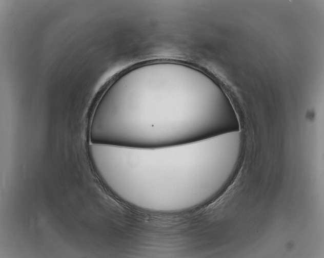 X0000097471222200802220822
