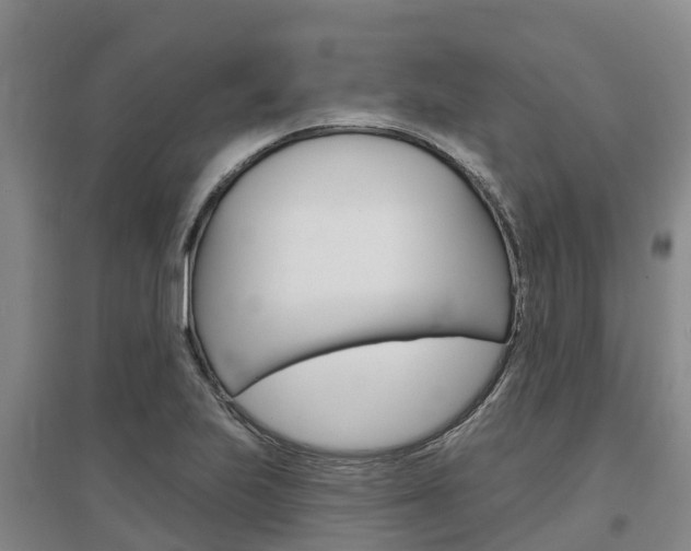 X0000097471223200802220822