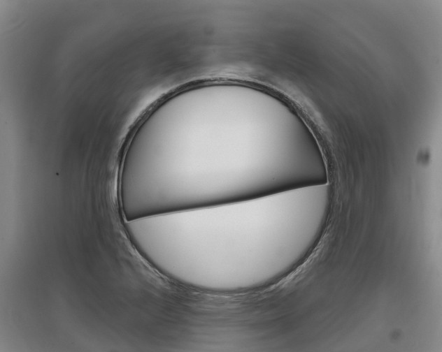 X0000097471224200802220822