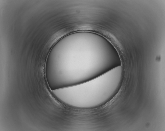 X0000097471225200802220822