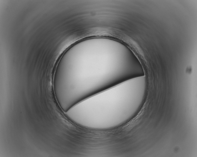 X0000097471226200802220822