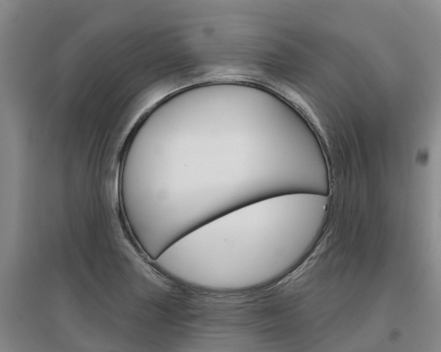 X0000097471227200802220822