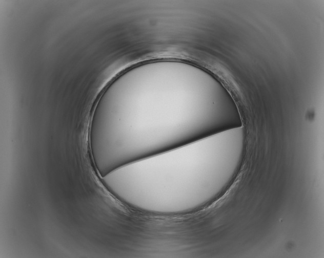 X0000097471228200802220822