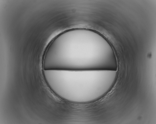 X0000097471230200802220822