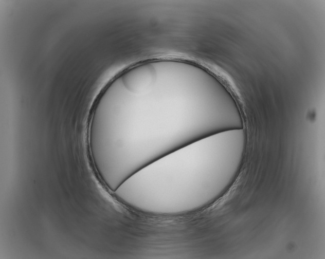 X0000097471231200802220822