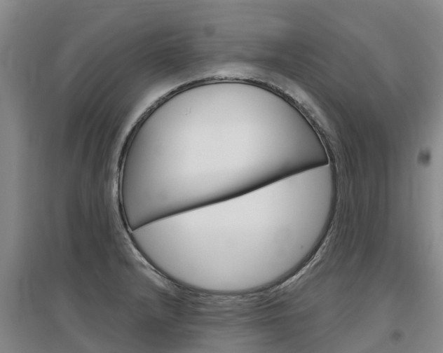 X0000097471232200802220822