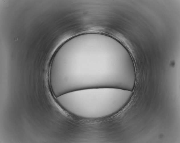 X0000097471235200802220822