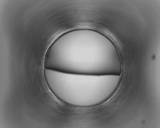 X0000097471236200802220822