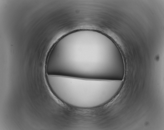 X0000097471237200802220822