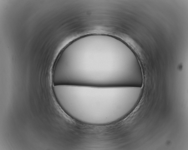 X0000097471238200802220822