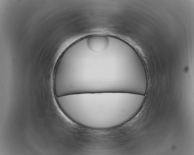 X0000097471239200802220822