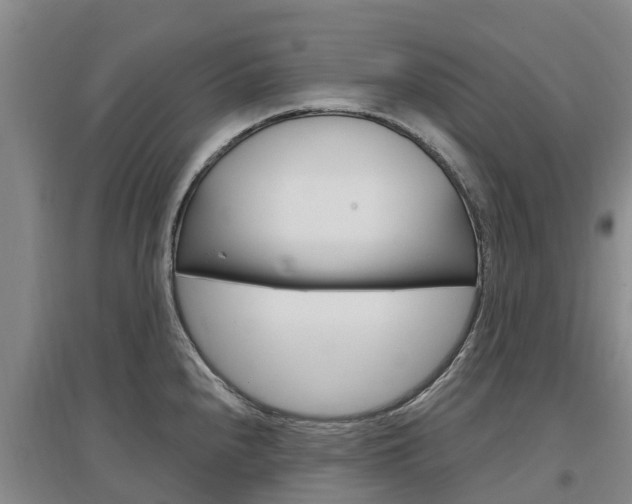 X0000097471240200802220822