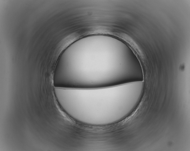 X0000097471241200802220822
