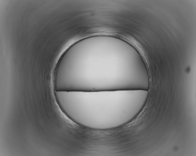 X0000097471243200802220822