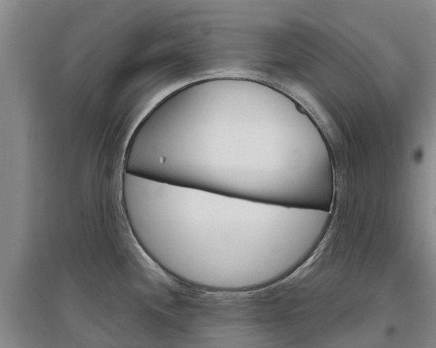 X0000097471244200802220822