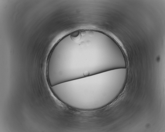 X0000097471245200802220822
