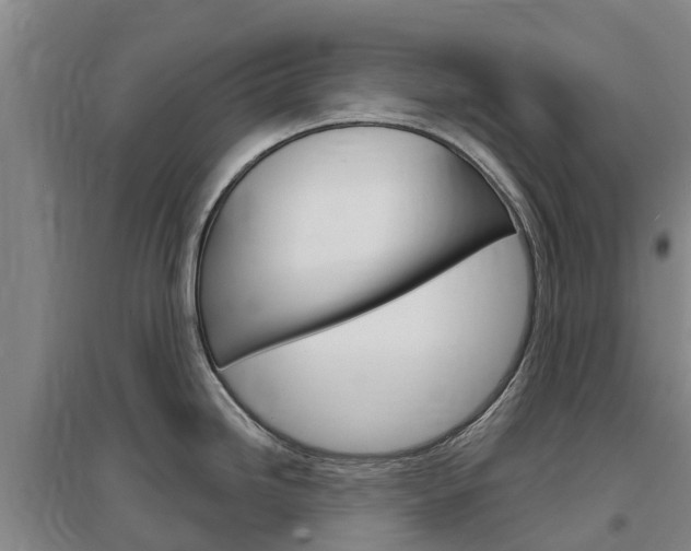 X0000097471246200802220822
