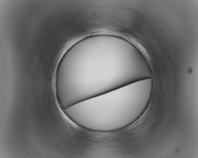 X0000097471247200802220822