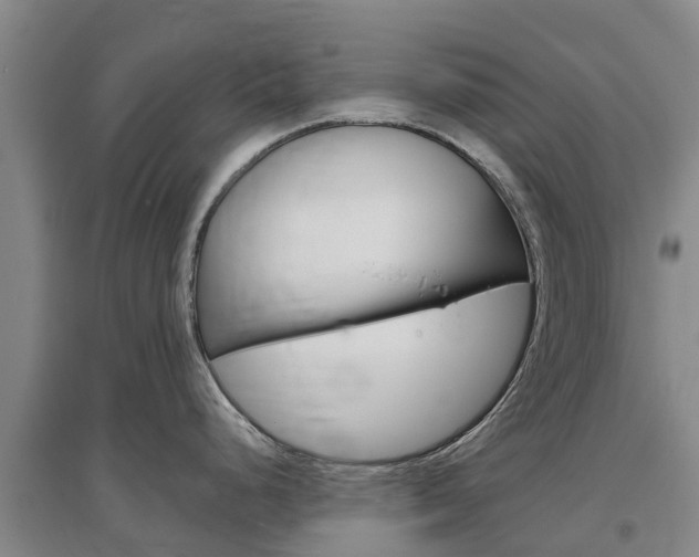X0000097471248200802220822