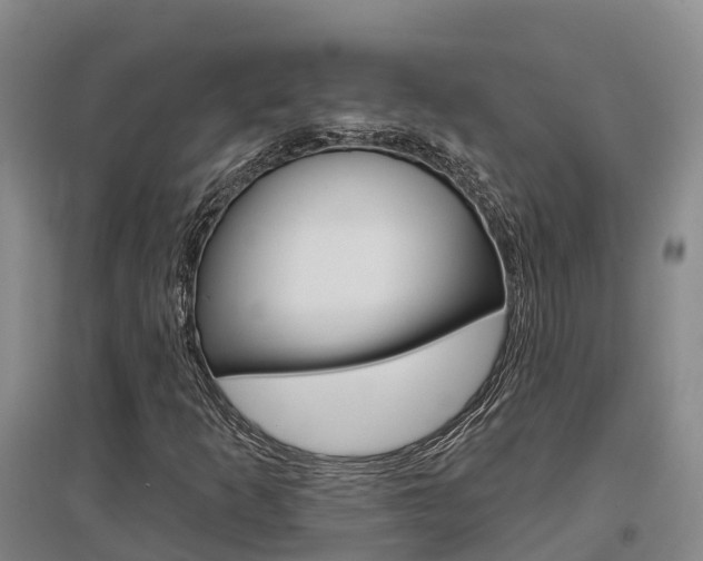 X0000097471253200802220821