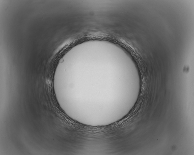 X0000097471254200802220821